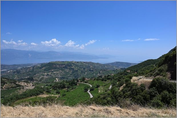 Το θαλασσινό αγέρι που πνέει από τον Κορινθιακό δροσίζει τα αμπέλια της Αιγειαλείας